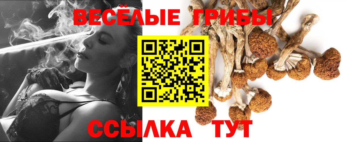 Псилоцибиновые грибы Magic Shrooms Отрадное