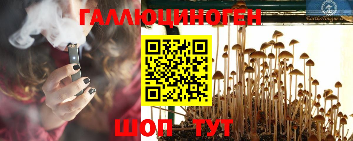 Марихуана  ГАШИШ  Отрадное  Меф МЯУ МЯУ   Вход с VPN 