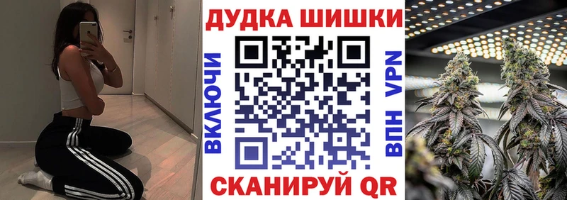 Канабис планчик Отрадное